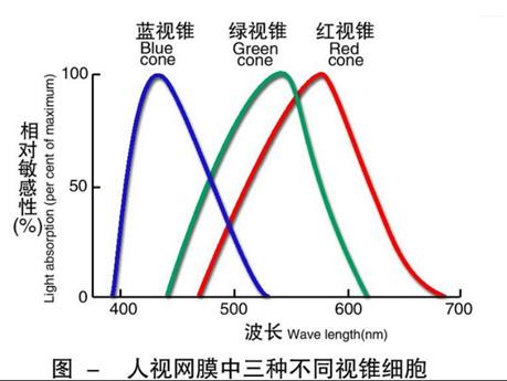 人眼视锥细胞对光谱的响应曲线